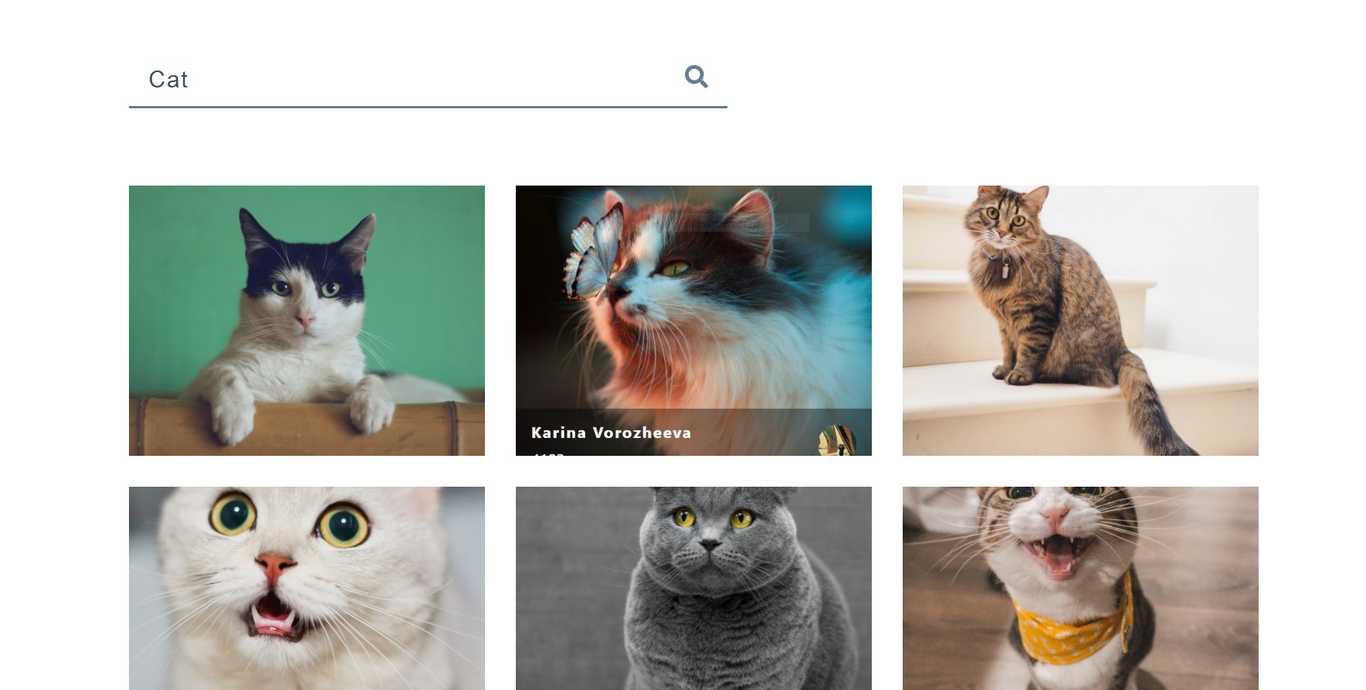 Stock images search